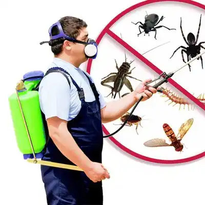 pest control Lemay